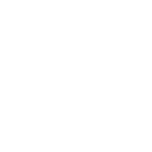 Icon of a website